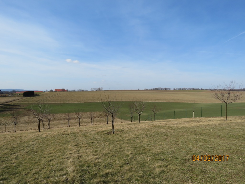 K-IMG_6496